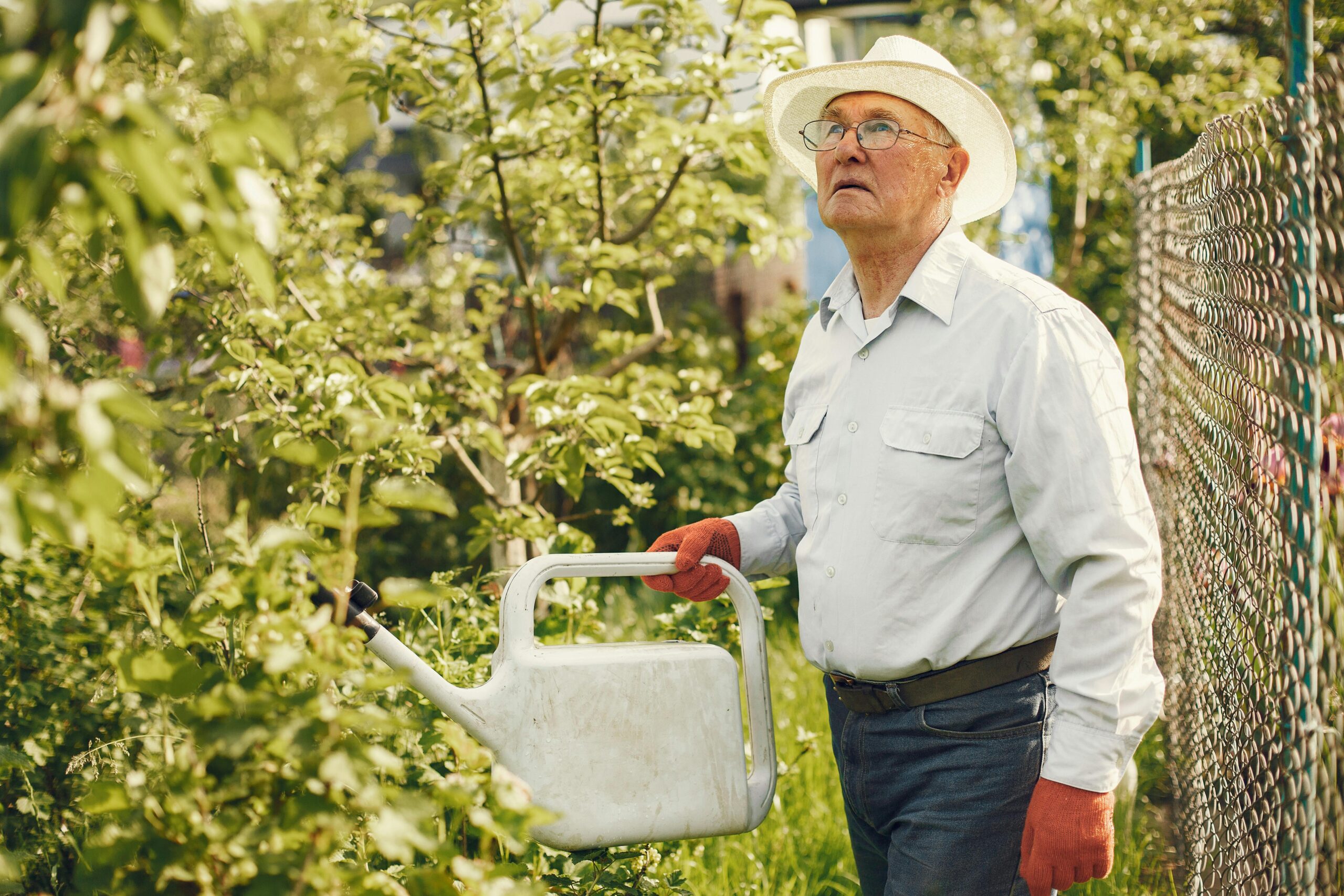 Older man tending to his garden, wearing gloves and focused on planting flowers in a lush, green backyard.