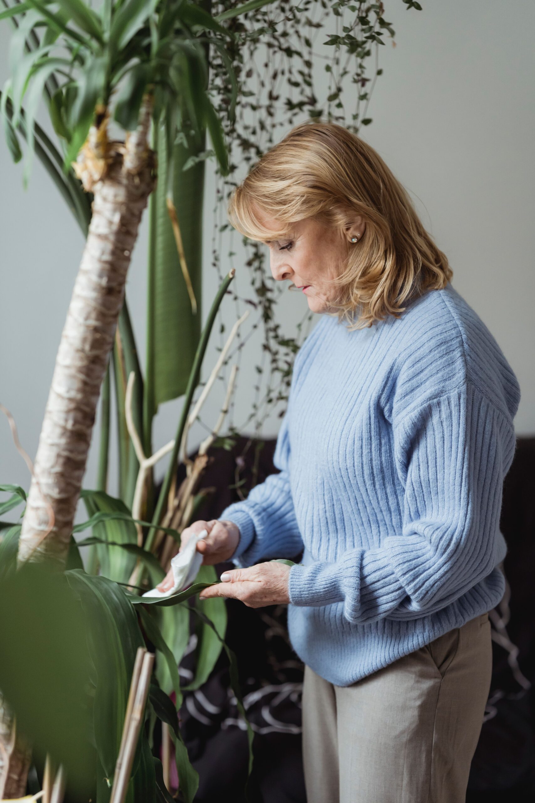 Bringing Nature Indoors: Healing Benefits of Houseplants for Daily Living